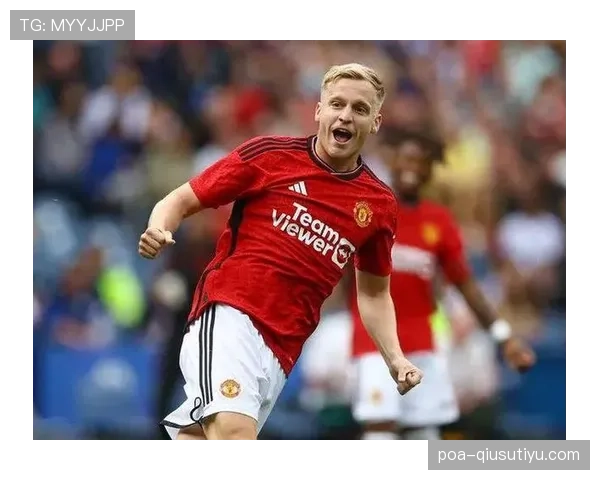 B费的领袖气质解析：战术核心作用与场内外影响力的深层评估