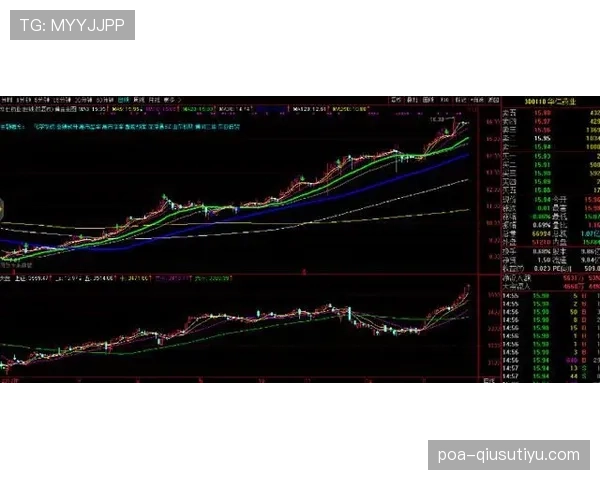 巴尔韦德与贝尔右路冲击力对比：体系差异与终结效率分析